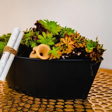 Apartmán Luxury Ad Jesenice